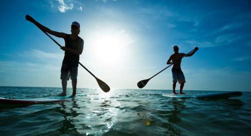 Stand Up Paddle